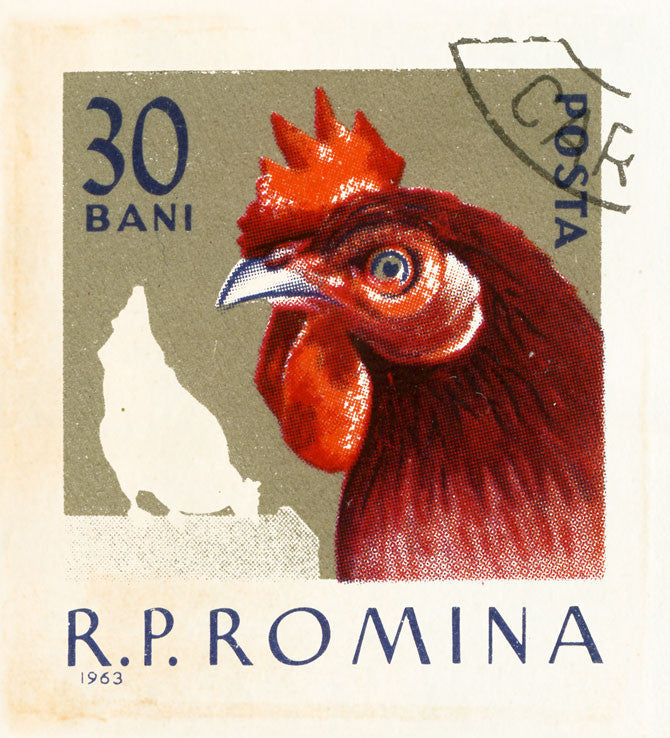 ROMANIA 15 ROMANIA 15