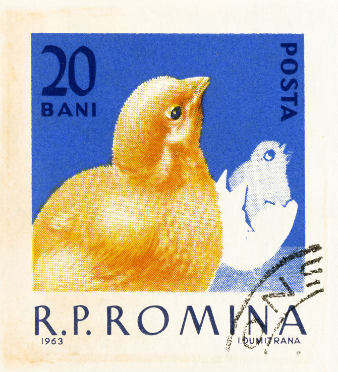 ROMANIA 16 ROMANIA 16
