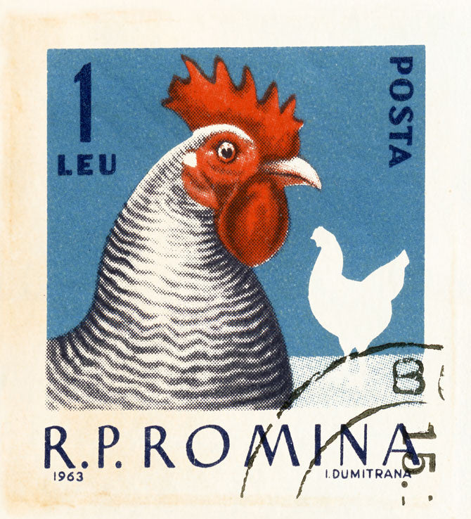 ROMANIA 17 8X10ROMANIA18