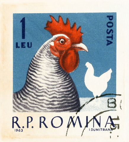 ROMANIA 17