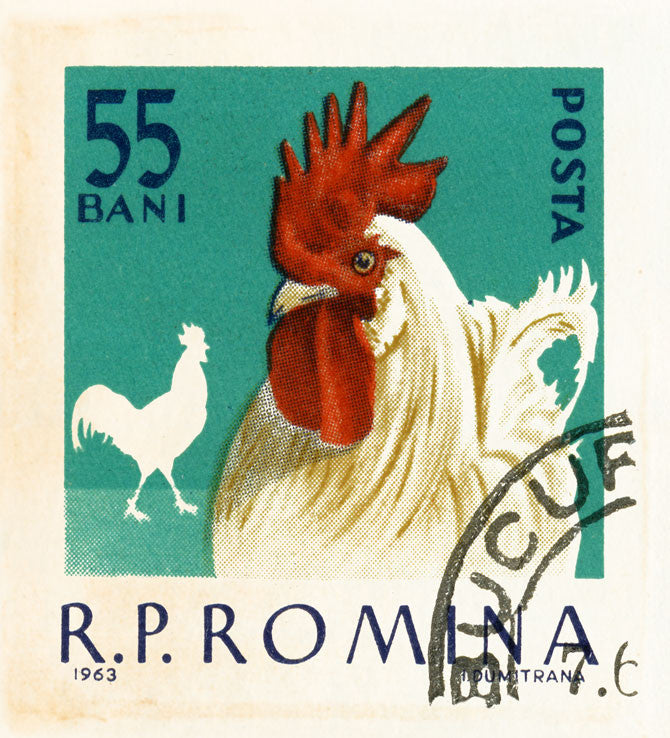 ROMANIA 19 ROMANIA 19