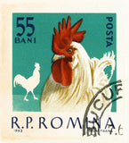 ROMANIA 19