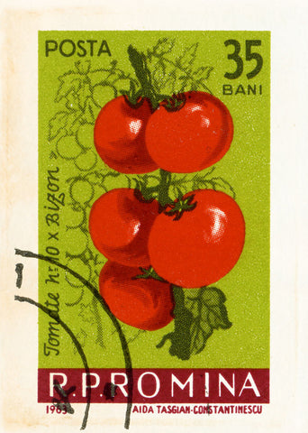 ROMANIA 20