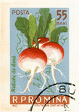ROMANIA 21