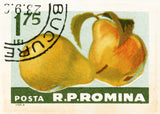 ROMANIA 23