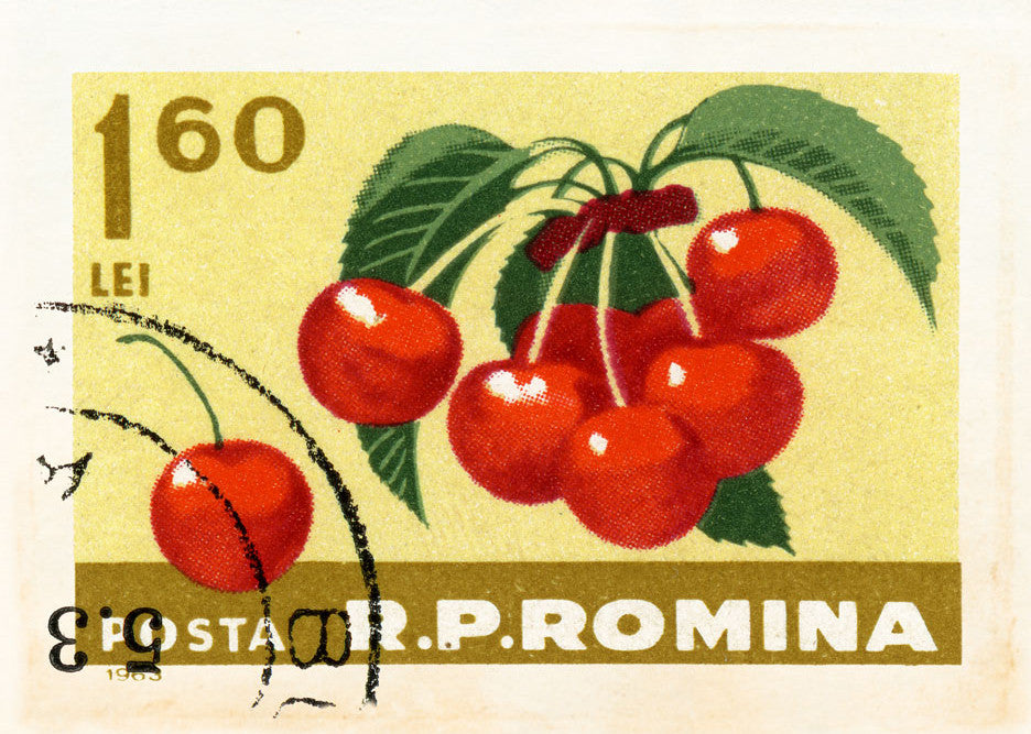 ROMANIA 24