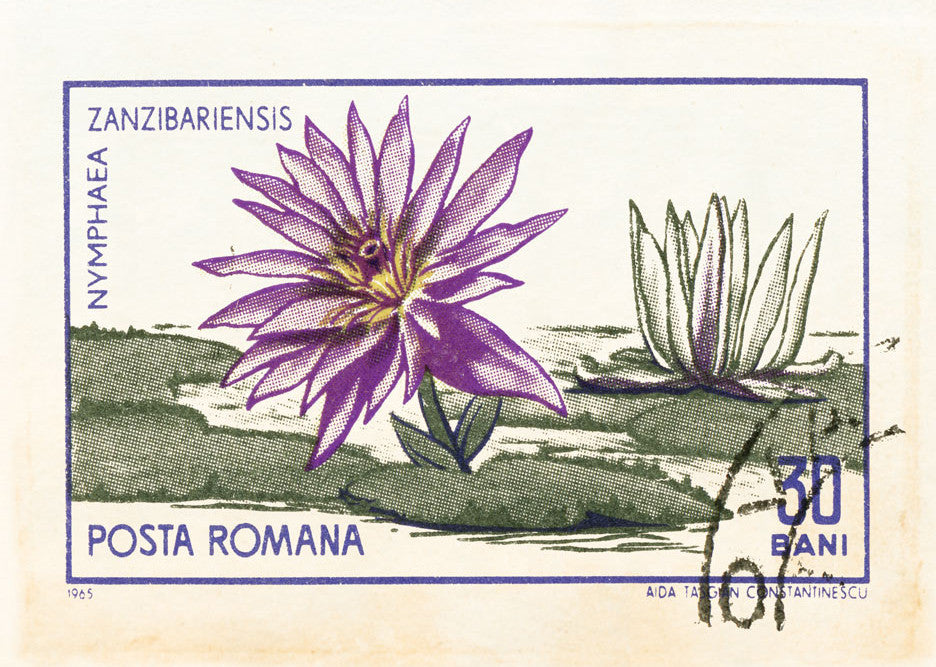 ROMANIA 26 ROMANIA 26