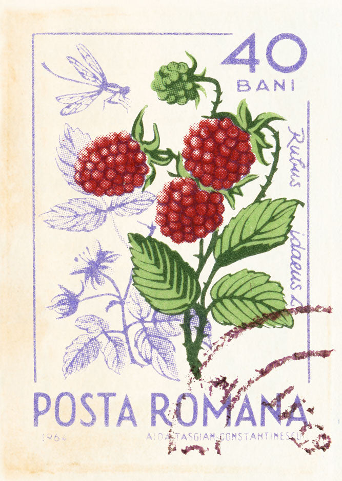 ROMANIA 28 ROMANIA 28
