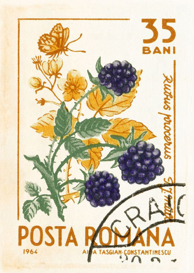 ROMANIA 29 ROMANIA 29