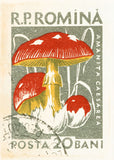 ROMANIA 3