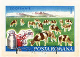 ROMANIA 6