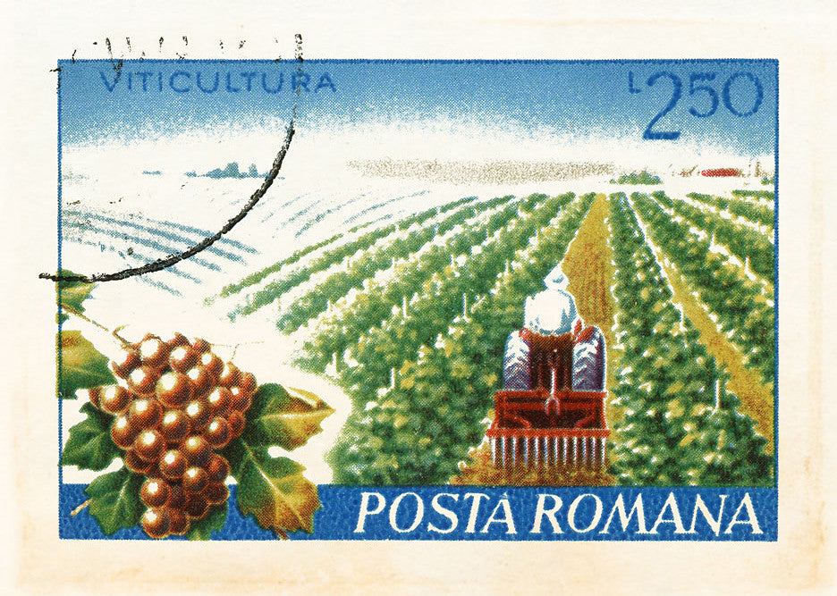 POPULAR 17 ROMANIA 7