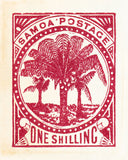 SAMOA 14
