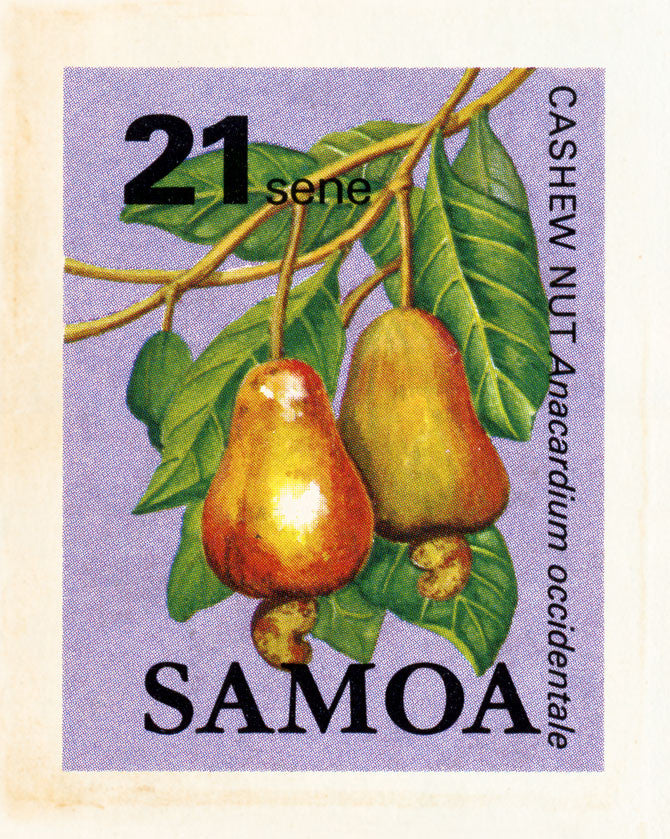 SAMOA 17 SAMOA 17