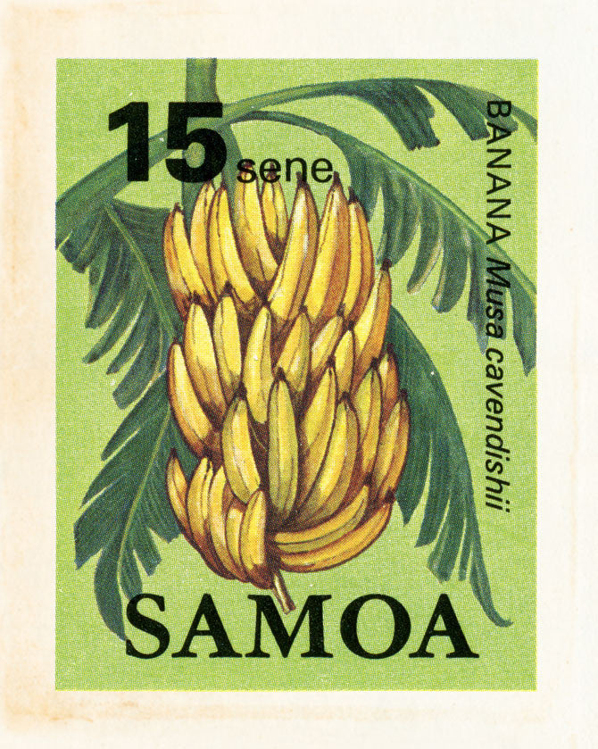 SAMOA 18 SAMOA 18