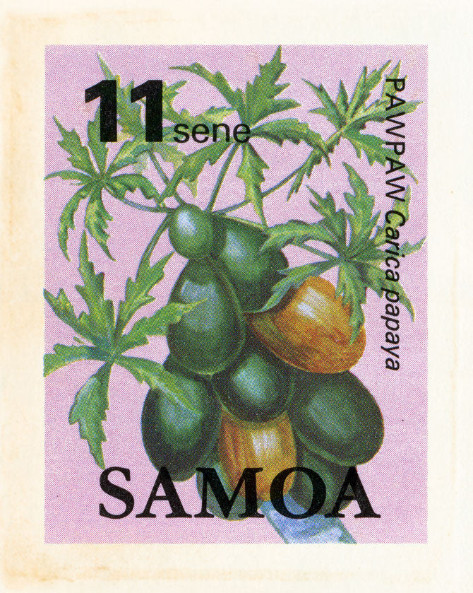 SAMOA 19 8X10SAMOA19