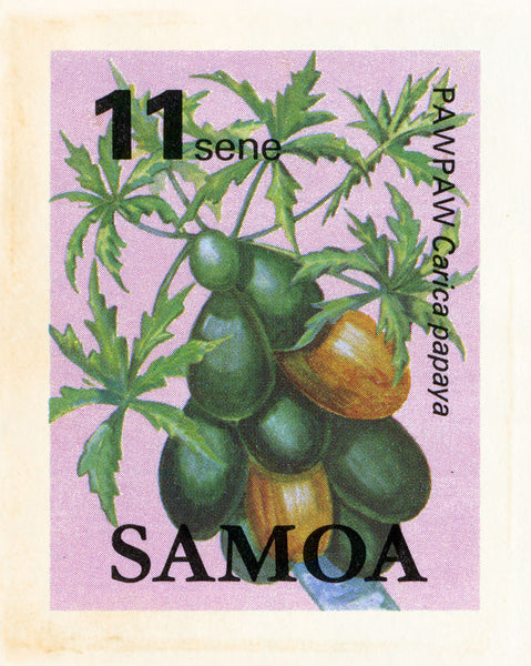 8X10SAMOA19