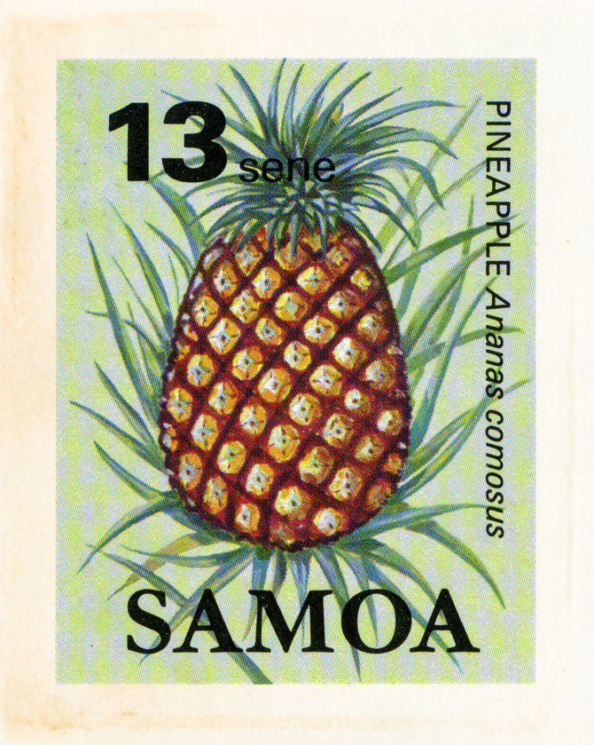 SAMOA 20