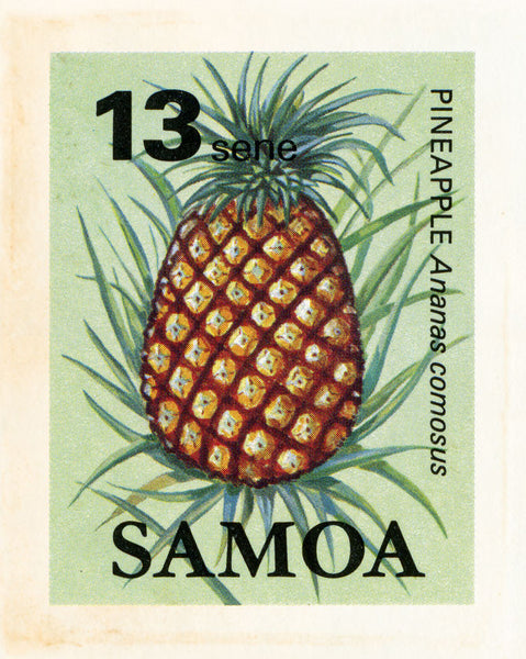 SAMOA 20