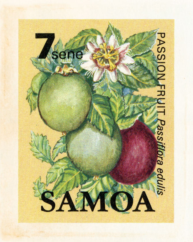 SAMOA 22 SAMOA 22