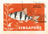 SINGAPORE 12
