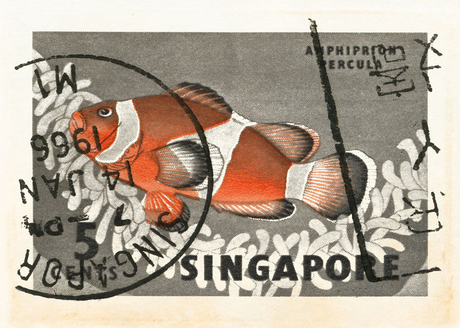 SINGAPORE 13 SINGAPORE 13