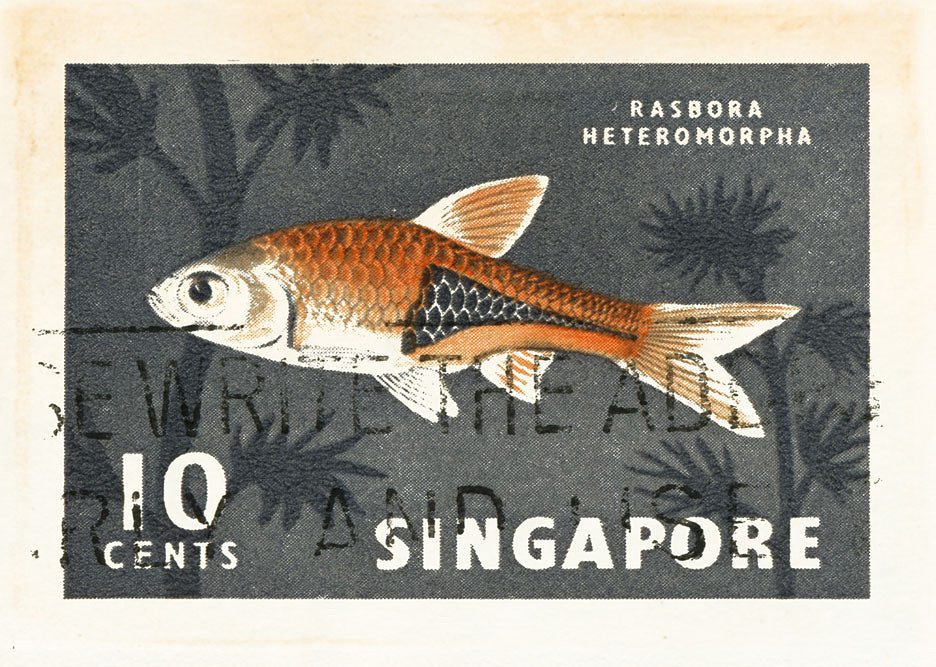 SINGAPORE 4 8X10SINGAPORE4