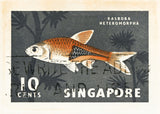 8X10SINGAPORE4