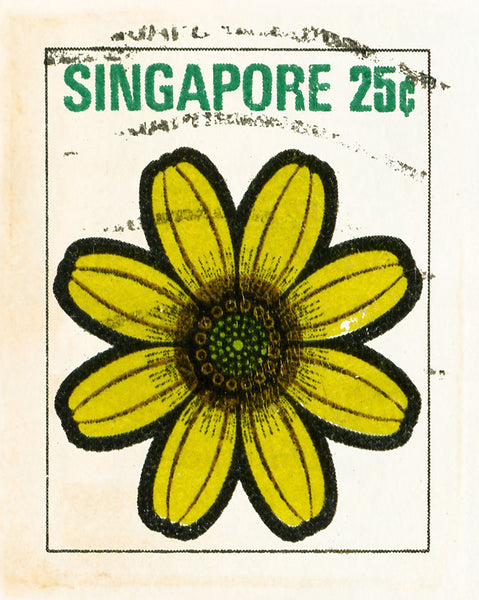 8X10SINGAPORE5