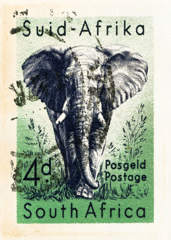 SOUTH AFRICA 1