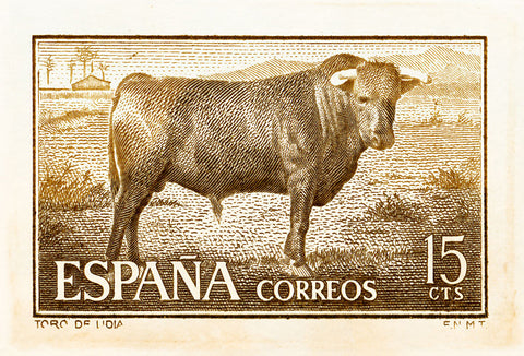 SPAIN 12