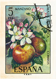 8X10SPAIN1