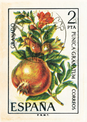 SPAIN 30