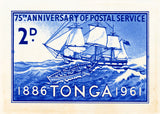 TONGA 6