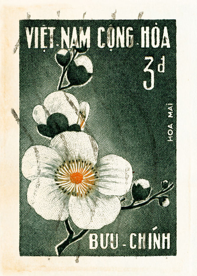 POPULAR 20 VIETNAM 2
