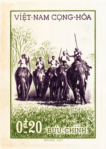 VIETNAM 7