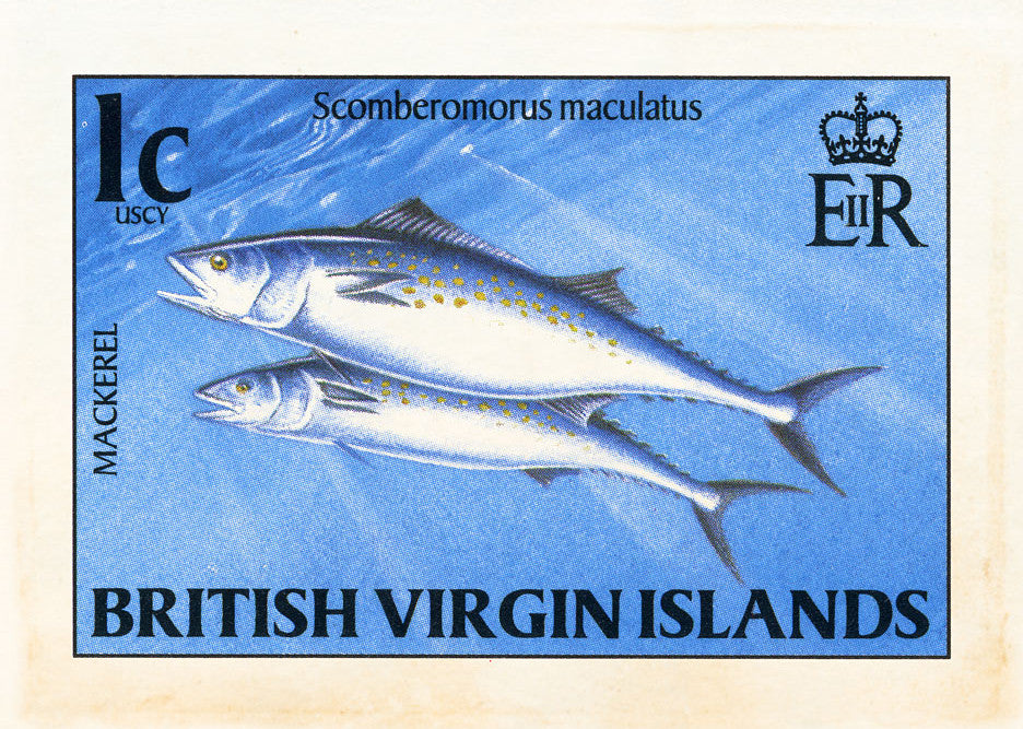 BRITISH VIRGIN ISLANDS 1 BRITISH VIRGIN ISLANDS 1