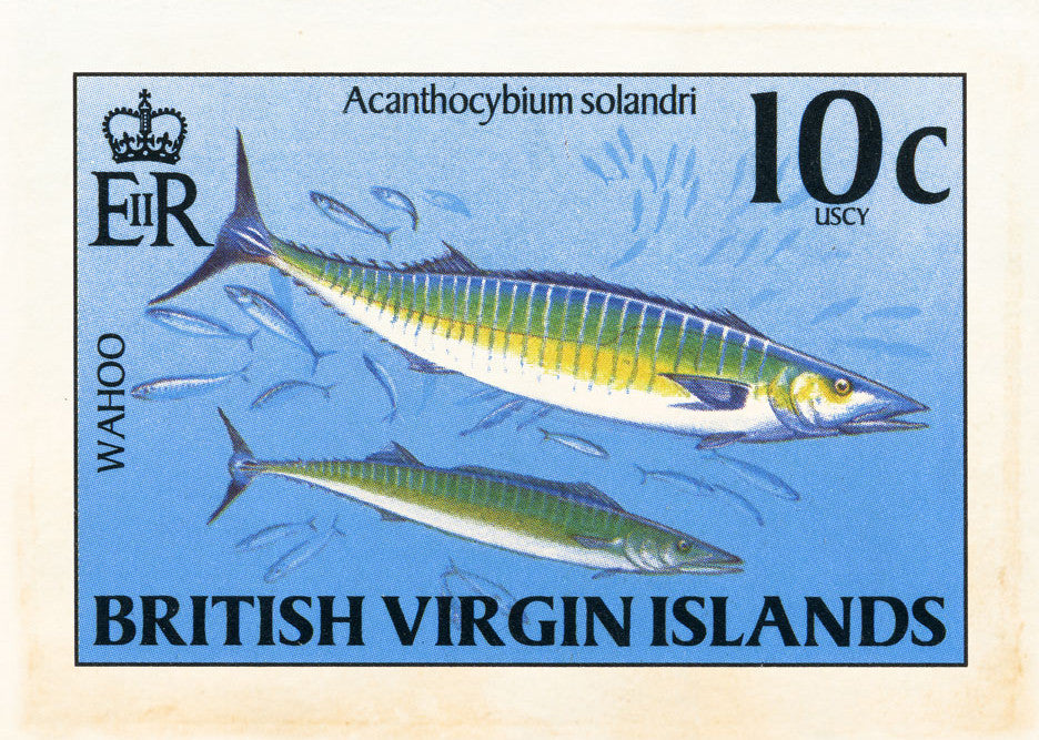 BRITISH VIRGIN ISLANDS 2 BRITISH VIRGIN ISLANDS 2