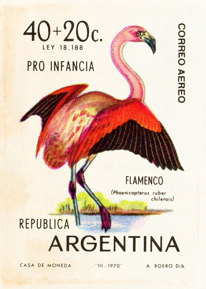 ARGENTINA1 ARGENTINA1