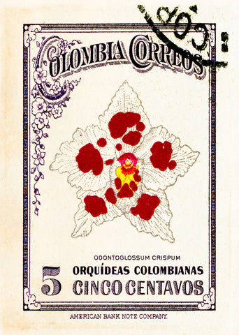 PANAMA 8