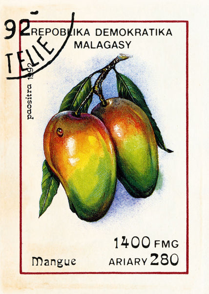 MALAGASY 1