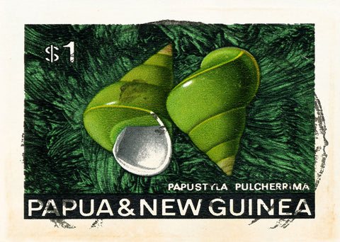 NEW GUINEA 17