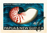 NEW GUINEA 18