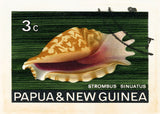 NEW GUINEA 1