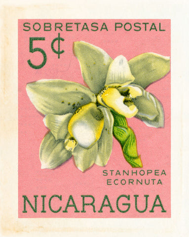 NICARAGUA 4
