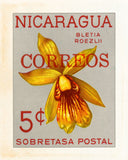 NICARAGUA 5