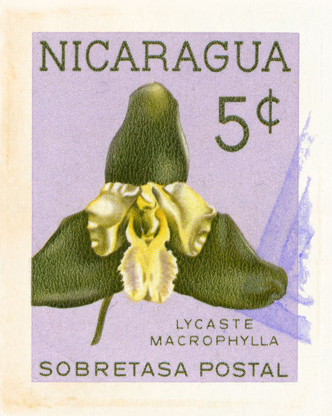 NICARAGUA 6