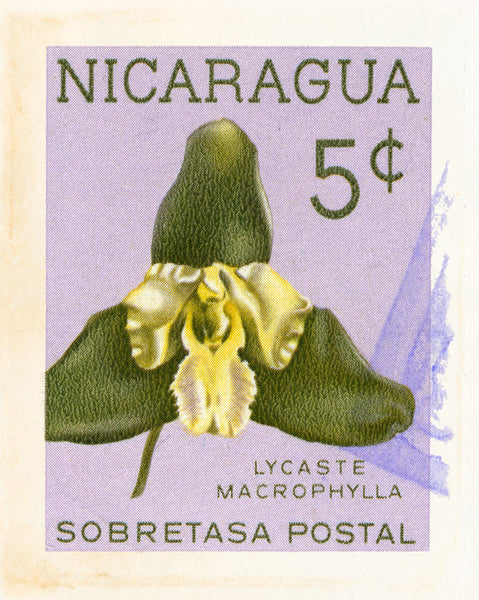 NICARAGUA 6