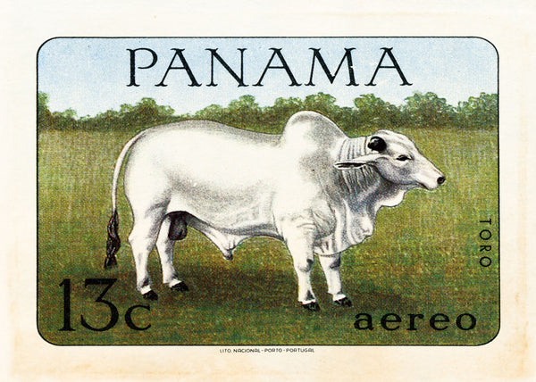 PANAMA 10