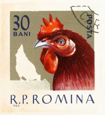 ROMANIA 15